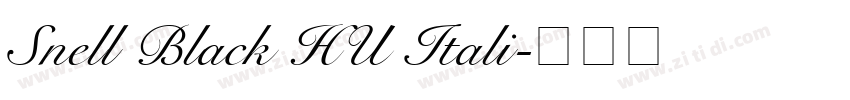 Snell Black HU Itali字体转换